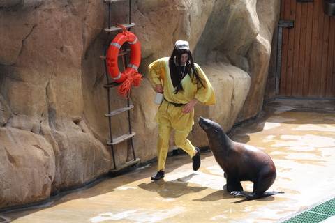 The Pirate and Sealion at Zoomarine Algarve Portugal