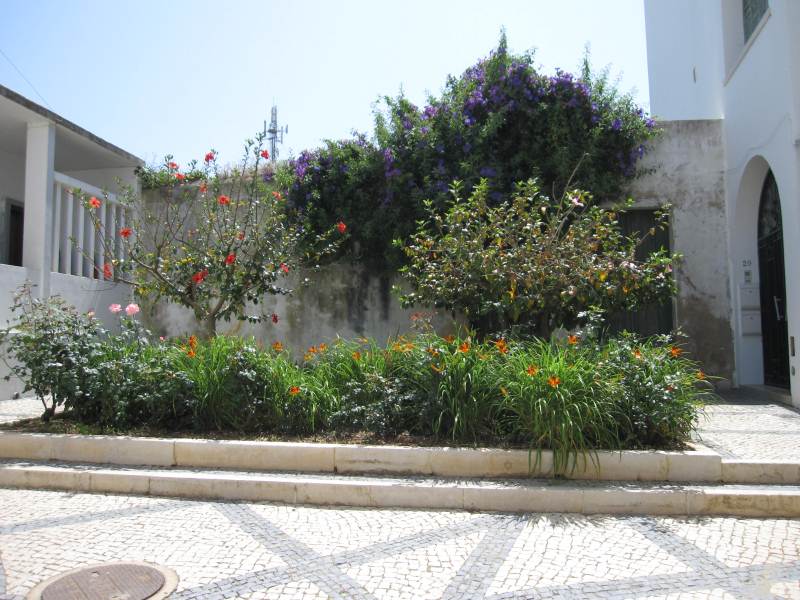 GARDEN IN TAVIRA GARDEN IN TAVIRA