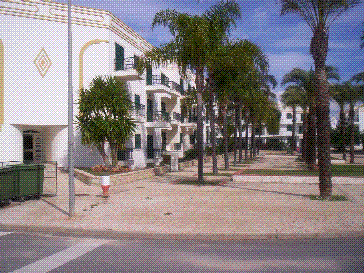 ALGARVE APARTMENT EXTERIOR PALM TREES CABANAS DE TAVIRA