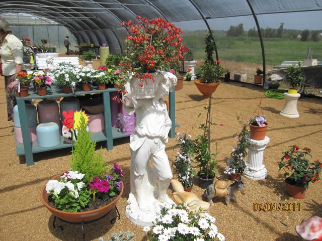 ALGARVE TAVIRA,CABANAS PLANT NURSERY