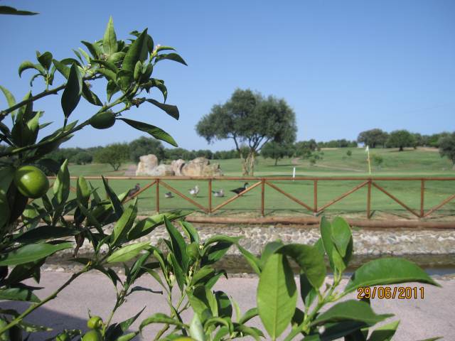 Cabanas de Tavira Benamor golf course in Conceicao