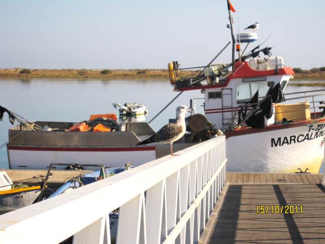 CABANAS MARINA WITH east-west-algarve.com