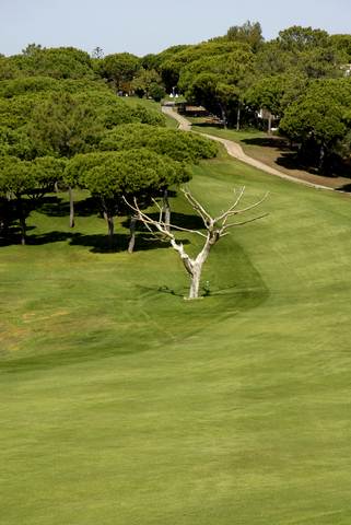 ALGARVE VILAMOURA MILLENIUM GOLF COURSE.with east-west-algarve.com