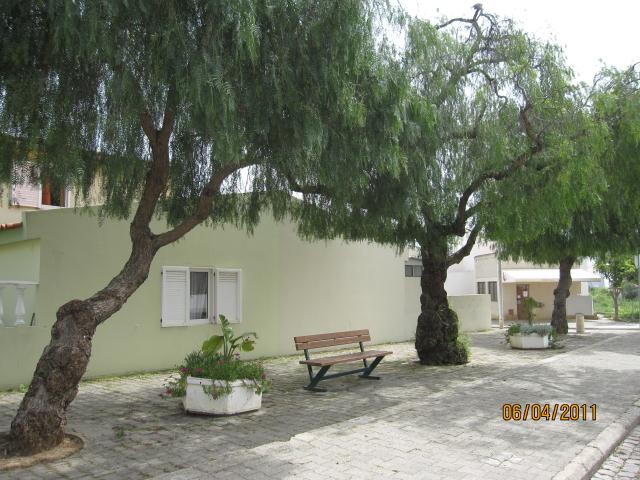 PORTUGAL ALGARVE LIVING TREES,CABANAS