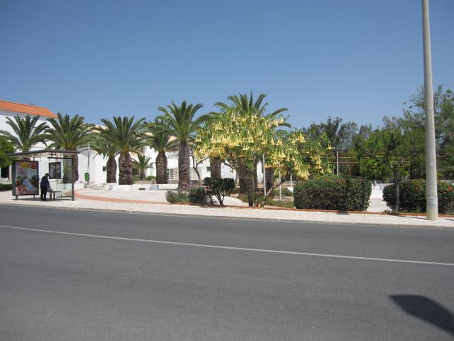 TAVIRA MARKET,ALGARVE,PORTUGAL