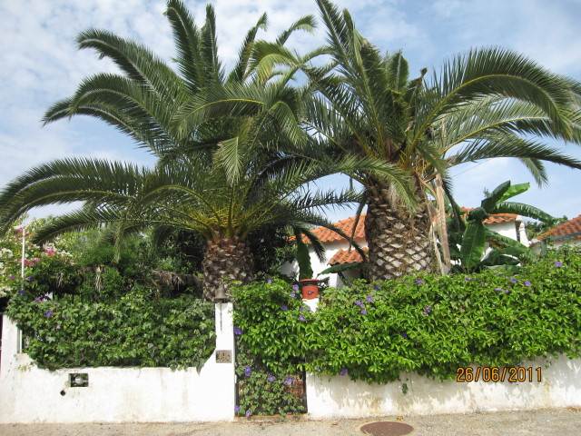 Twin Palms Conceicao de Tavira Portugal